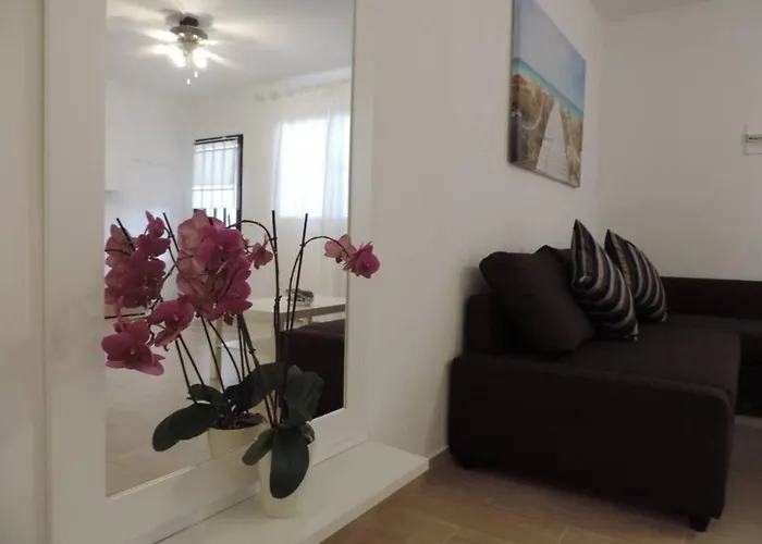 Blue Turtle Apartment, Next To The アパート *