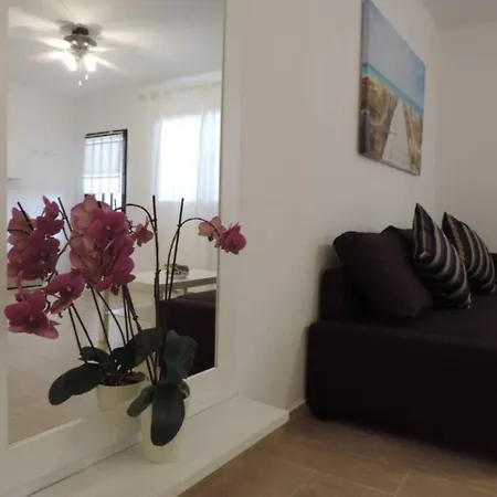 Blue Turtle Apartment, Next To The Apartman *