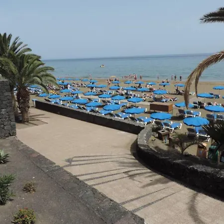 Blue Turtle Apartment, Next To The Apartman *