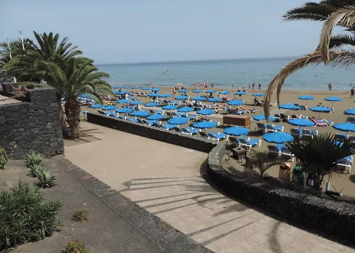 Blue Turtle Apartment, Next To The Apartman *